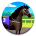 CodyCross → Famous Horses